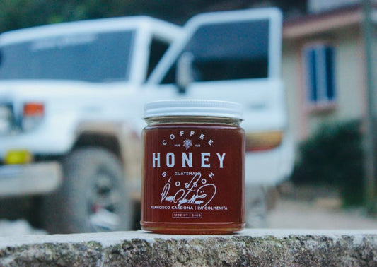 Coffee Blossom Honey - Limited Release - Francisco Cardona