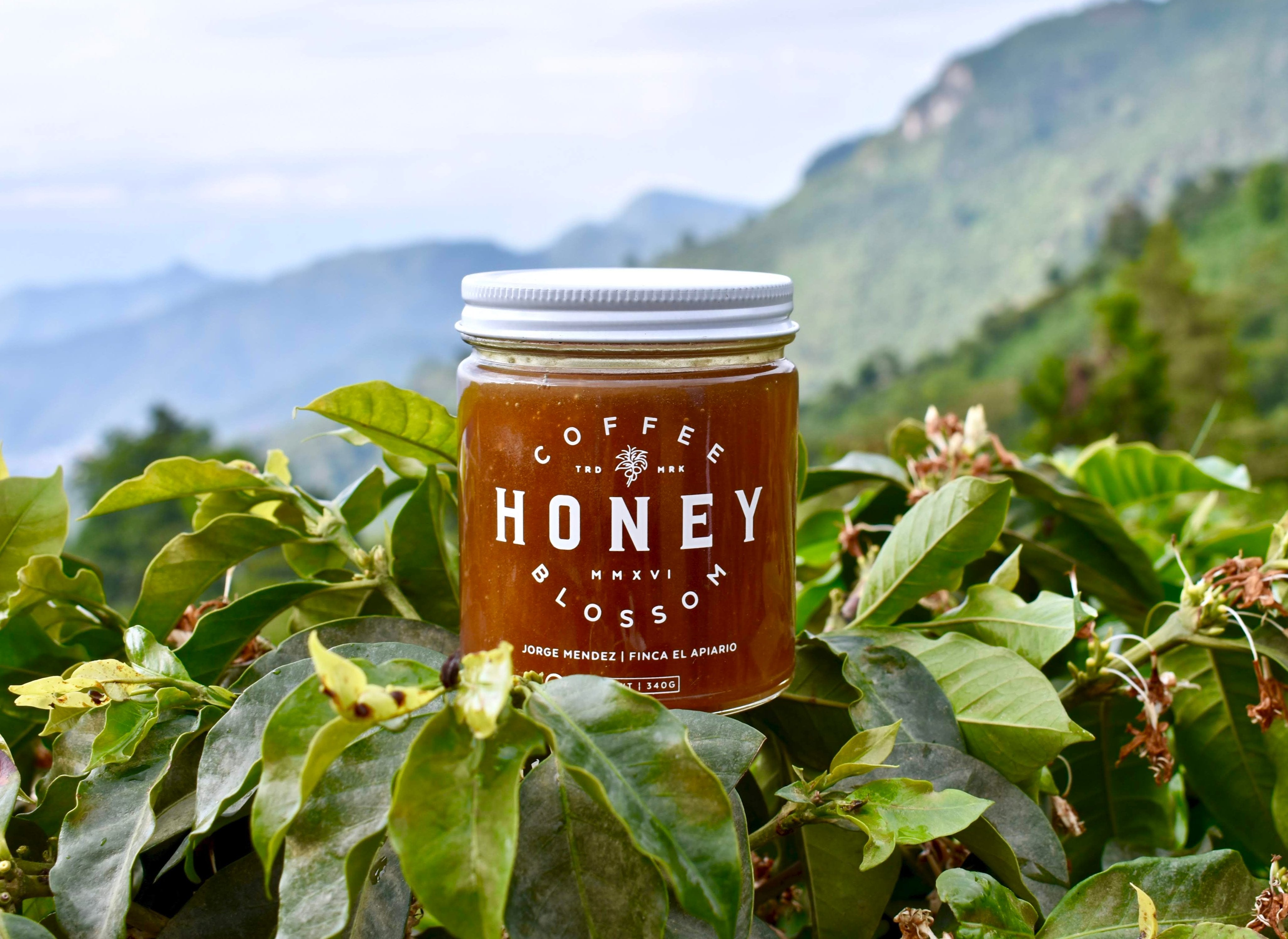 About Us – Coffee Blossom Honey TM